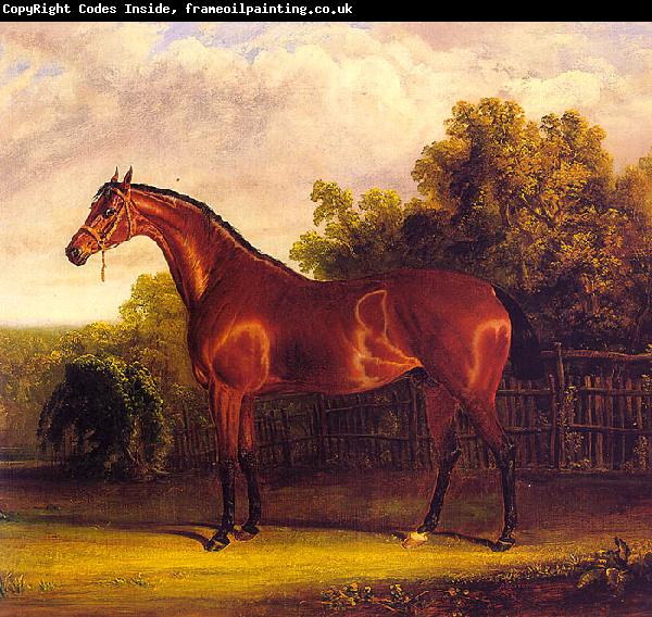 John F Herring Negotiator, the Bay Horse in a Landscape